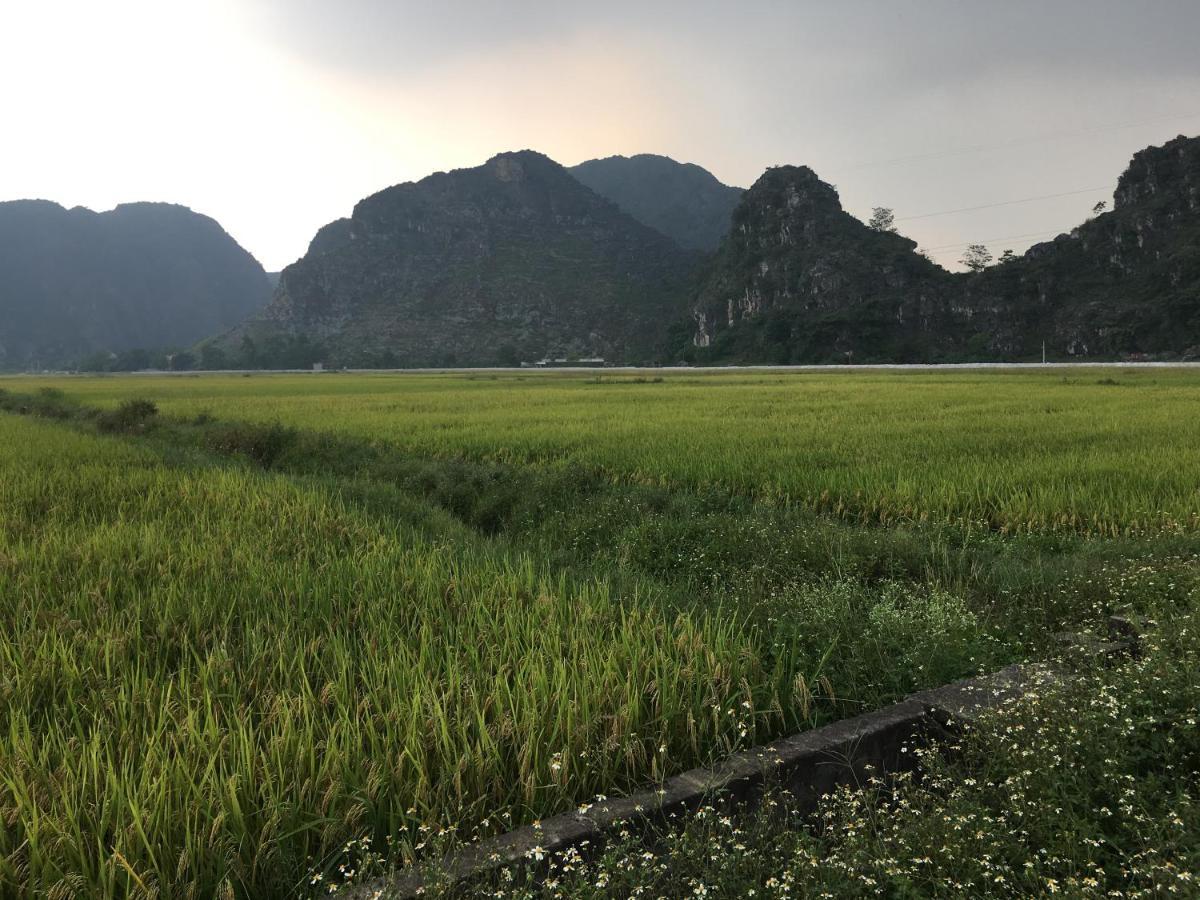 Limestone View Homestay Ninh Bình Exteriör bild